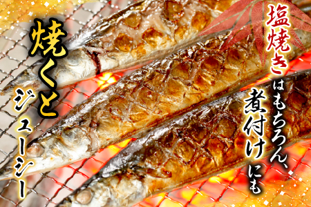 冷凍さんま・ほたて貝柱セット A-70034