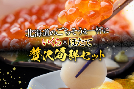 いくら醤油漬け100g×1P、ほたて貝柱500g×1P B-30019