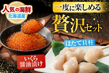 いくら醤油漬け100g×2P、ほたて貝柱500g×1P C-36041