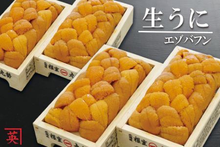 B-27006 エゾバフンウニ60g×4折