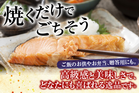 天然沖獲れ鮭1切×10P(約1kg) B-11060