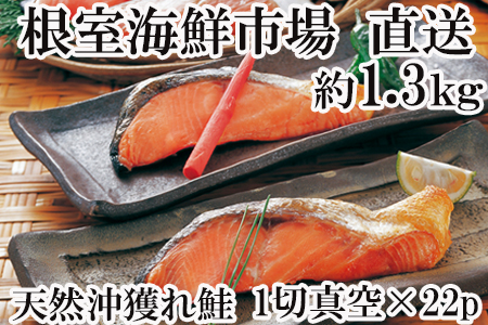 根室海鮮市場[直送]甘汐天然沖獲れ鮭1切×22P(約1.3kg) A-28135