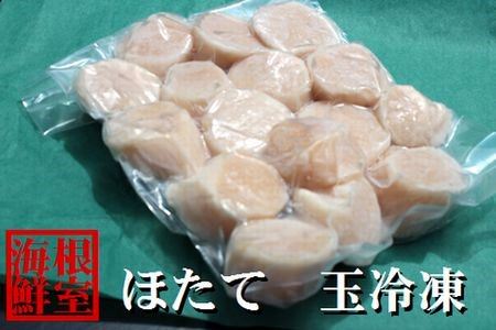 ＼漁業者応援品／【北海道根室産】ホタテ貝柱真空パック500g A-57036