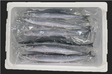 北海道根室産 冷凍生お刺身さんま21本 C 北海道根室市 ふるさと納税サイト ふるなび