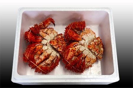 [12月21日決済分まで年内配送]【北海道根室産】花咲かに400g前後～600g前後×2尾 A-70030