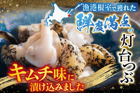 【北海道根室産】灯台つぶキムチ120g×6個 A-09025