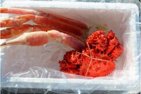 【12/31決済分まで1月中配送】 本ズワイガニ足1肩、花咲ガニ1尾(計450～500g前後) A-57040