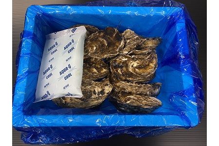 【北海道根室産】貝付き牡蠣20個[2024年4月上旬以降発送] A-54009