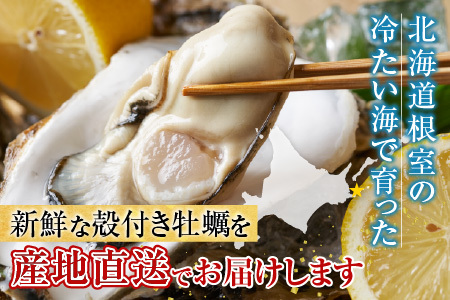【年内配送可】【北海道根室産】貝付き牡蠣80個[11月上旬以降発送] D-54008