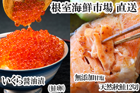 根室海鮮市場[直送]いくら醤油漬け(鮭卵)70g×2P、天然秋鮭15切 A-28155