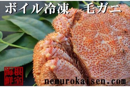 【北海道根室産】毛ガニ1.0kg以上×1尾 D-57019