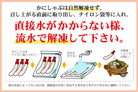 ＜12月22日決済分まで年内配送＞刺身用本ずわいかに剥き身500g(10～15本) A-07029