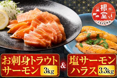 お刺身トラウトサーモン3kg&塩サーモンハラス3.3kg D-09014