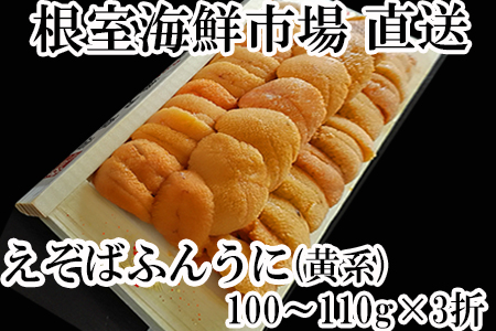 根室海鮮市場[直送]エゾバフンウニ(黄系)約100～110g×3折 D-28024