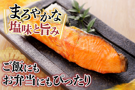 【12/31決済分まで1月中配送】 [個包装]塩さばフィレ1枚×8P＆塩銀鮭切り身1切×10P A-09042