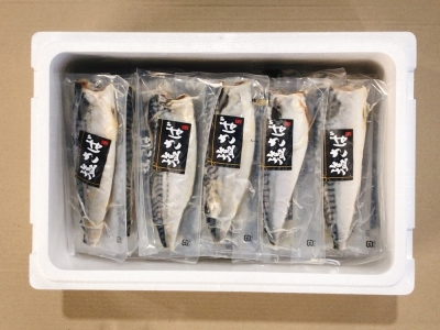 【12/31決済分まで1月中配送】 [個包装]塩さばフィレ1枚×35P(計3.15～3.5kg) B-09032