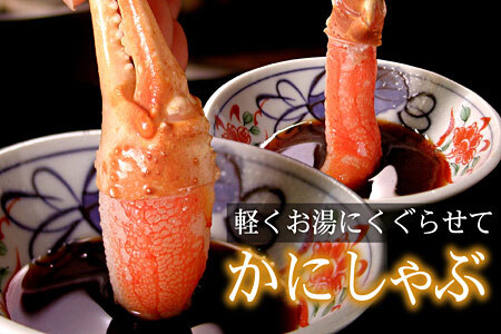 [12月21日決済分まで年内配送]ズワイガニのかに爪刺身セット(計1kg入) B-07023