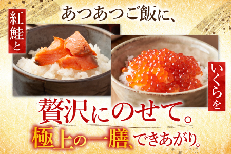 醤油いくら200g・紅鮭切身8切セット A-10045