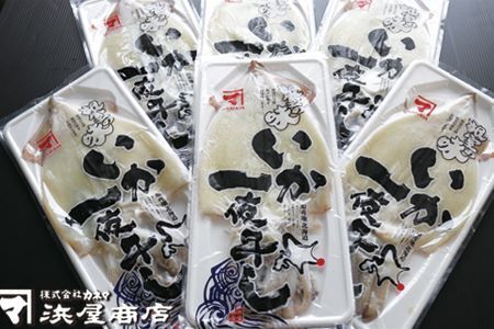 [12月17日決済分まで年内配送]いか一夜干し1枚×10P B-32043