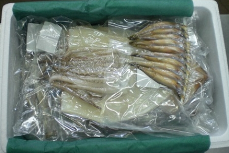 [12月17日決済分まで年内配送]干物セット B-33002