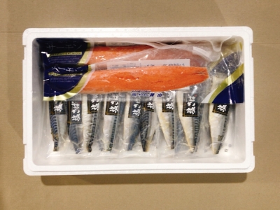 お刺身トラウトサーモン1.5kg、塩さばフィレ1枚×20P C-09021 | 北海道