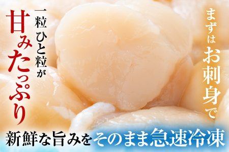 【12/31決済分まで1月中配送】 ＼漁業者応援品／【北海道根室産】お刺身帆立貝柱600g×1P B-42076