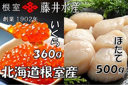 ＜12月22日決済分まで年内配送＞【北海道根室産】いくら醤油漬け120g×3P、お刺身帆立貝柱500g C-42073