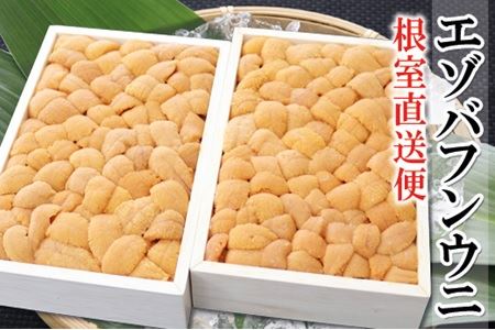 エゾバフンウニバラ詰め150g×2折[5月中旬以降発送] B-53006