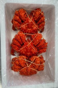 【北海道根室産】花咲蟹3尾(計1.3～1.6kg) A-27026