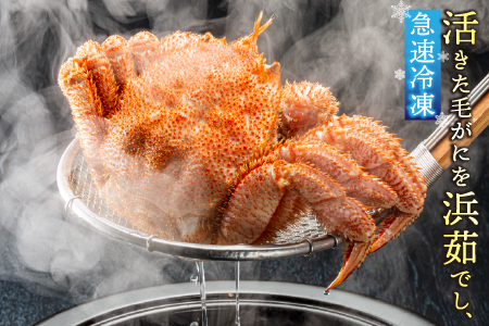 [12月21日決済分まで年内配送]【北海道根室産】毛がに300g前後×3尾 B-21005