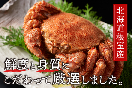【12/31決済分まで1月中配送】 【北海道根室産】毛がに350g前後×8尾 D-21005