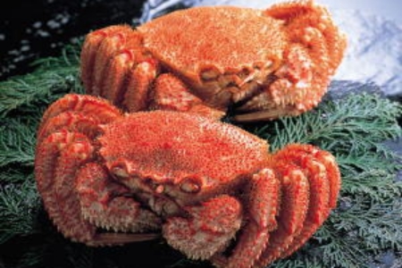 毛蟹700g×1尾 C-66016