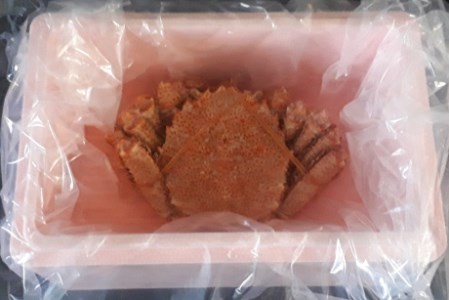 毛蟹700g×1尾 C-66016