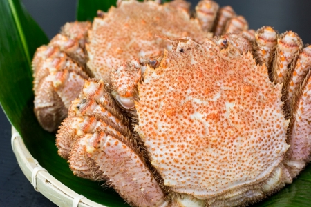 毛蟹600g×3尾 D-66013