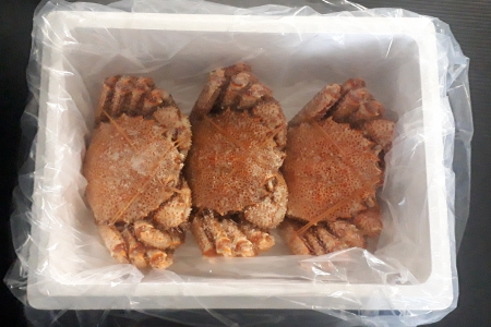 毛蟹600g×3尾 D-66013
