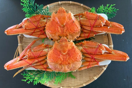 ずわい蟹600g×5尾 D-66014