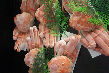 ずわい蟹600g×5尾 D-66014