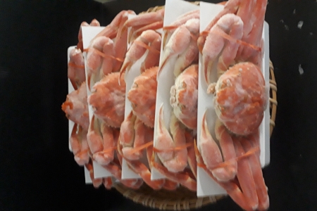 ずわい蟹600g×5尾 D-66014