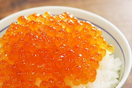 【北海道根室産】醤油いくら500g B-32024