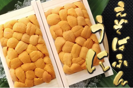 <12月19日決済分まで年内配送>エゾバフンウニ70~80g×2折 C-53018