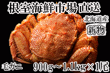 ボイル毛がに900g～1.1kg×1尾 ＜12月8日決済分まで年内配送＞D-11053