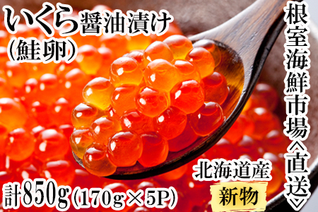 いくら醤油漬け(秋鮭卵)(新物)170g×5P(計850g) C-14022