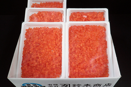 いくら醤油漬け(秋鮭卵)(新物)170g×5P(計850g) C-14022