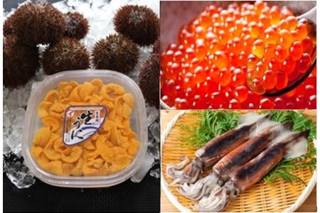 エゾバフンウニ塩水パック150g 1p いくら醤油漬け150g 1p 生スルメイカ10尾 合計1 6 1 9kg 22年2月中旬以降発送 E 北海道根室市 ふるさと納税サイト ふるなび