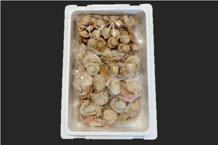 \漁業者応援品/【北海道根室産】ボイルホタテ800g×2P、ボイルベビーホタテ1kg×1P B-01060