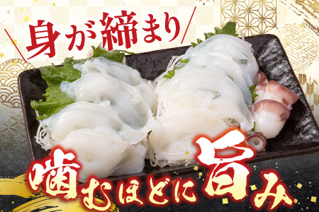 【北海道根室産】たこ足800g前後～1.4kg前後×1本 A-70051