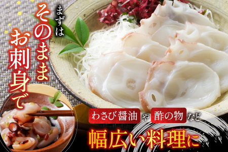 【北海道根室産】たこ足800g前後～1.4kg前後×1本 A-70051