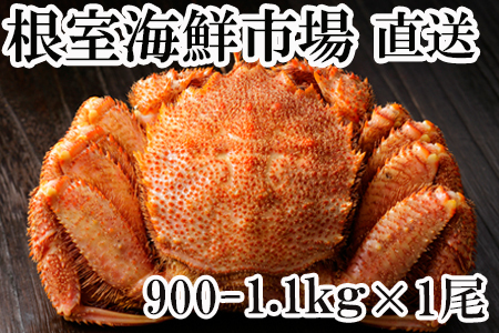 根室海鮮市場[直送]ボイル毛がに900g～1.1kg×1尾 B-28061