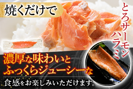 スモークサーモン500g＆とろサーモンハラミ燻製焼き500g A-09094