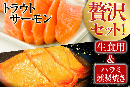 お刺身トラウトサーモン500g＆とろサーモンハラミ燻製焼き800g A-09095